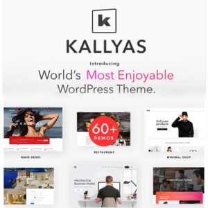 KALLYAS – Yaratıcı e-Ticaret Çok Amaçlı WordPress Teması