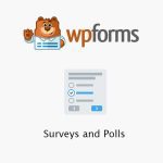 WPForms – Surveys and Polls - Anketler