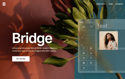 Bridge - Creative Elementor and WooCommerce WordPress Theme