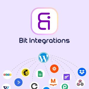 Bit Integrations