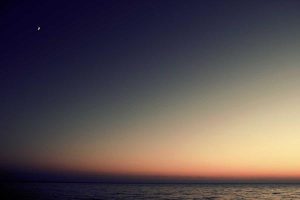 Download Monitor Wordpress Plugin