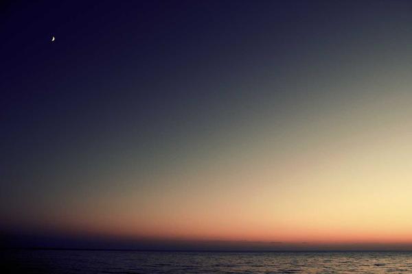 Download Monitor Wordpress Plugin