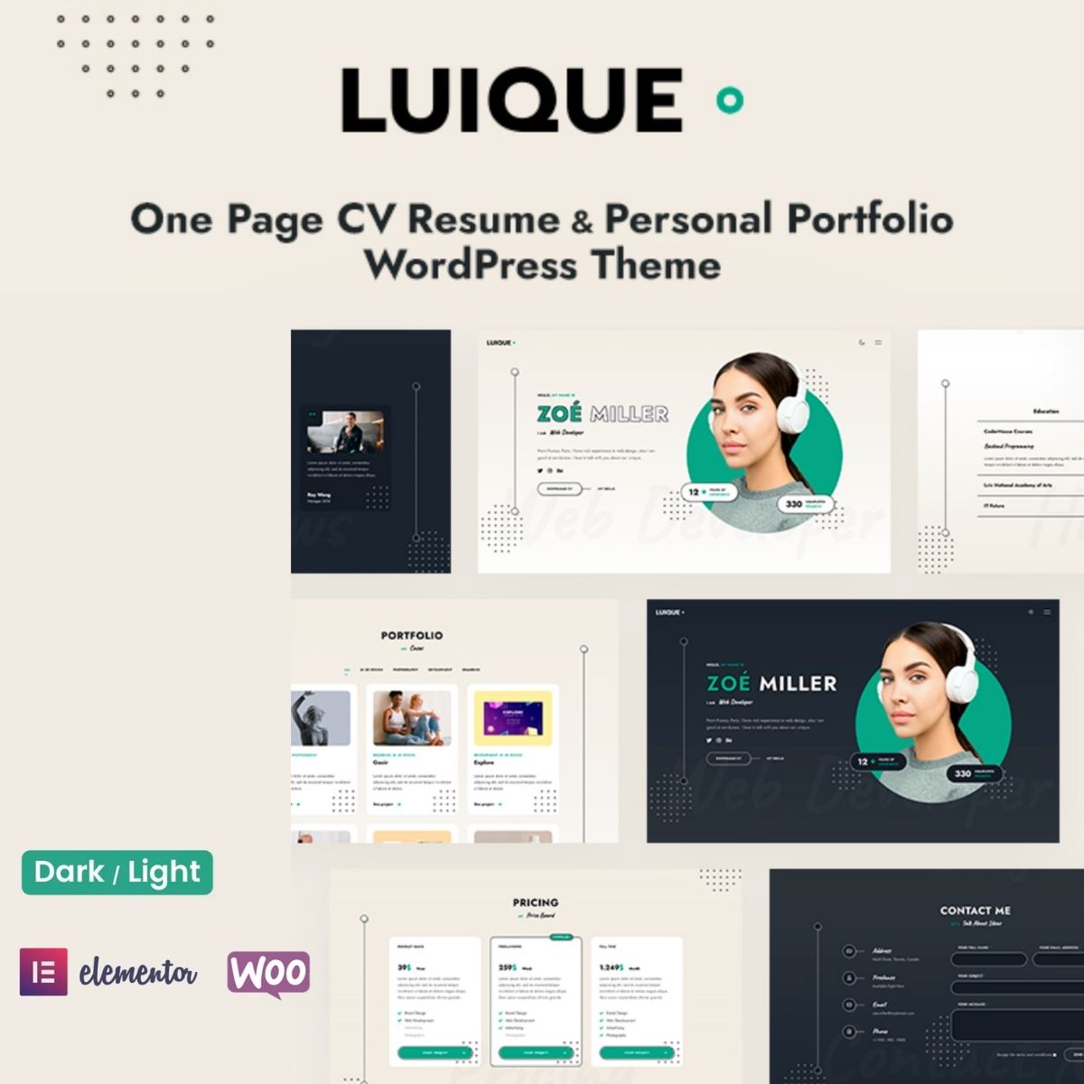 Luique - Personal Portfolio WordPress Theme
