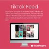 TikTok Feed Pro by Quadlayers