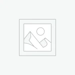 Sox – Baseball Team Sports WordPress Theme